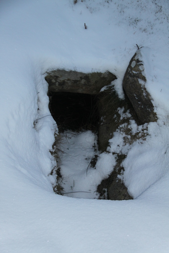 29.01.2012: Utersum, Megalithgrab Sunberig (Steinkistengrab) im Schnee