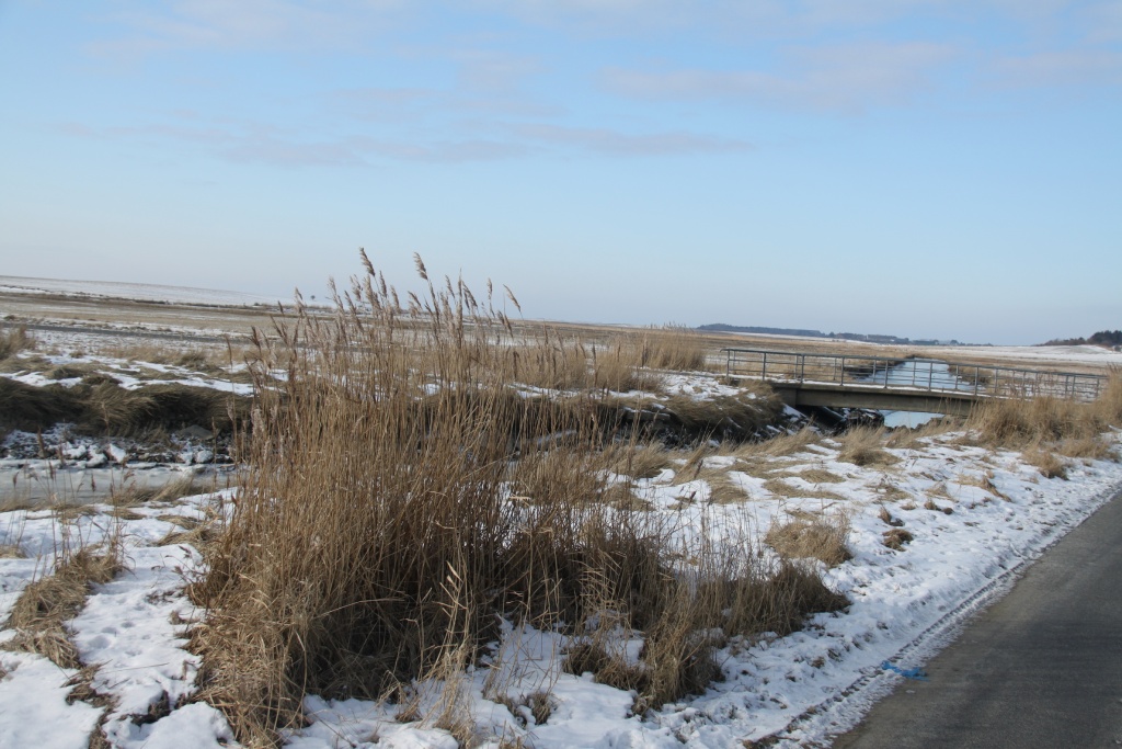 10.02.2012: Witsum, Brücke über die Godel