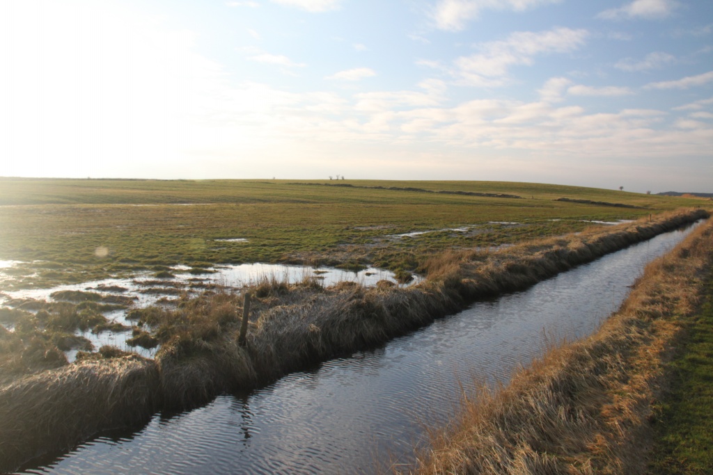 24.01.2012: Witsum, Entwässerung in der Godelniederung