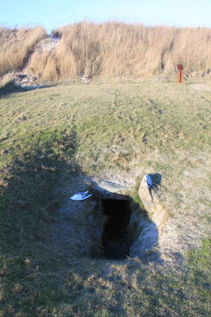 26.01.2012: Utersum, Megalithgrab Sunberig (Steinkistengrab)