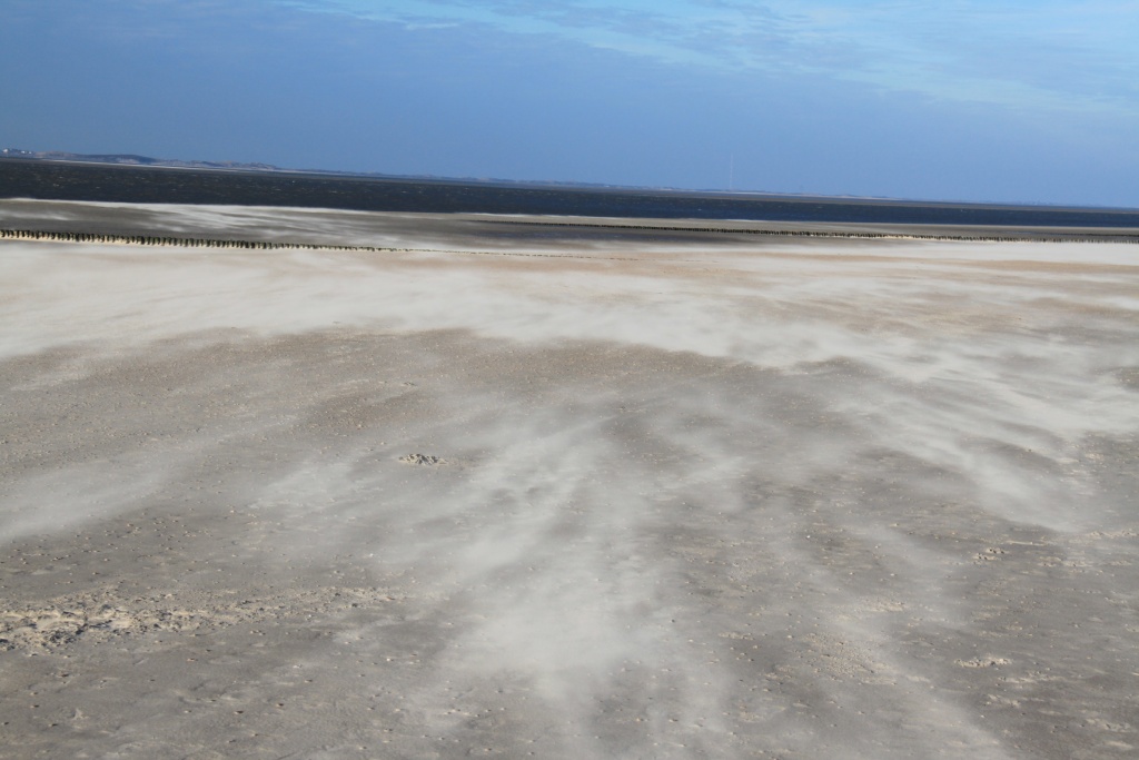 26.01.2012: Utersum, Strandsand vom Wind getrieben