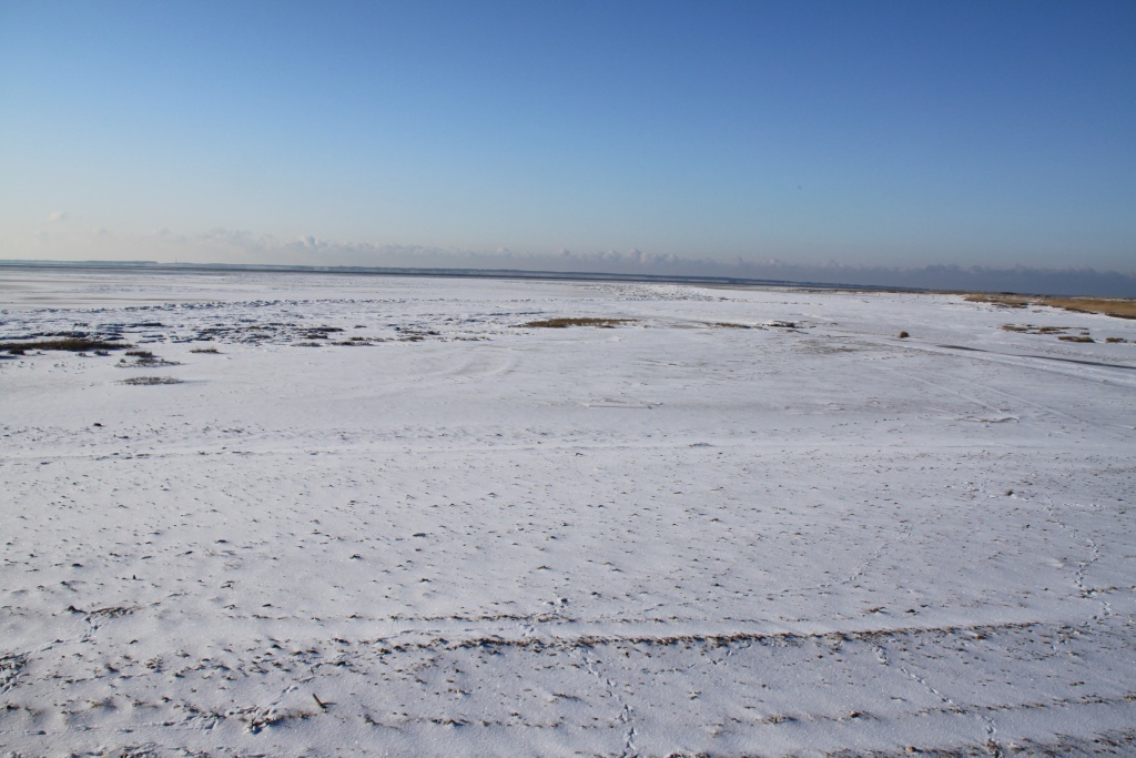 03.02.2012: Witsum, Vogelschutzgebiet Strand