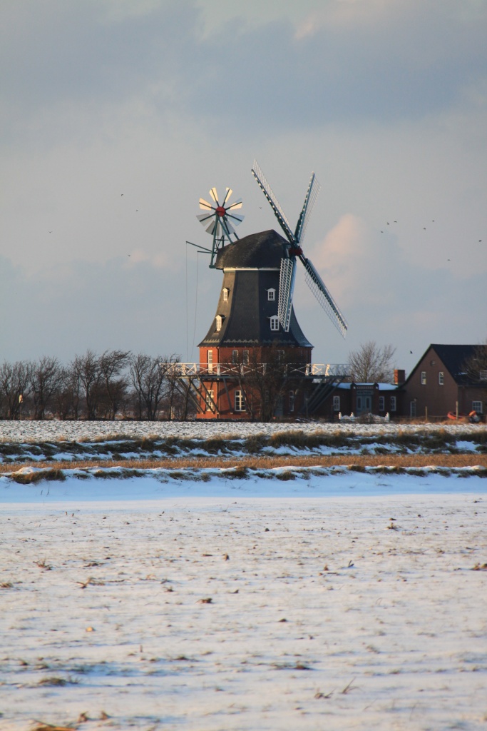 03.02.2012: Borgsum, Borgsumer Mühle