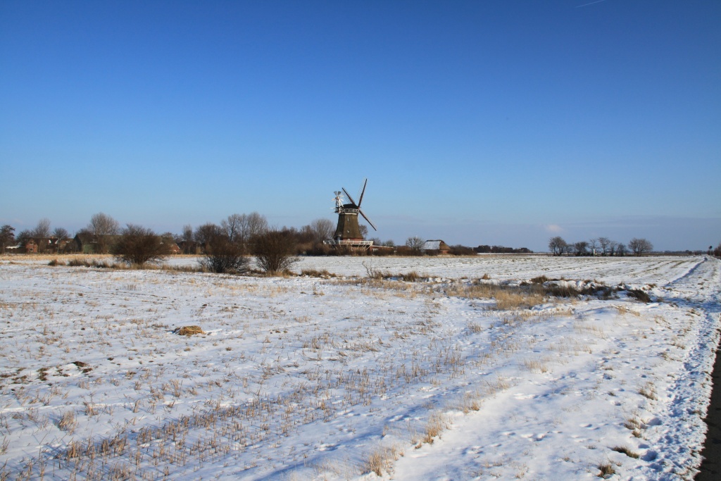 09.02.2012: Oldsum, Oldsumer Mühle (1700)