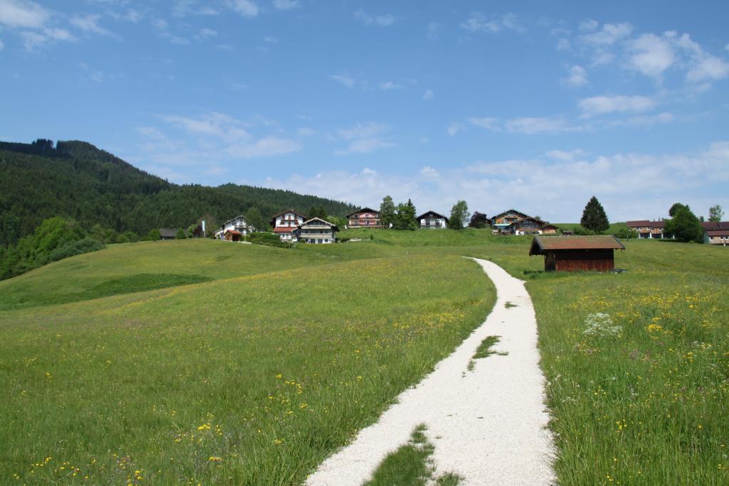 Der Weg aus dem Moor zum Haus Inzell Blick