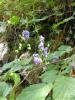 IMG_0642 IMG_0642