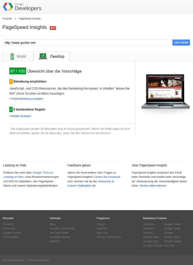 Google Page Speed Desktop